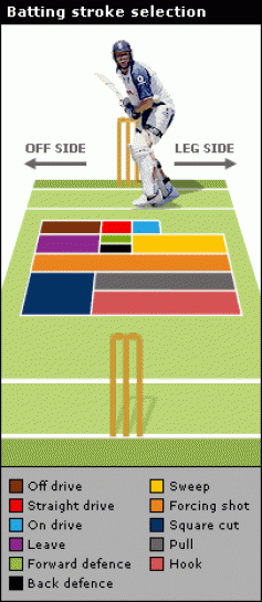 Cricket batting basics, 5 basics of cricket batting for beginners